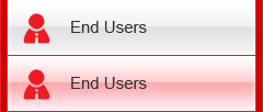 End User